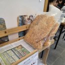 단양 보리곳간 이미지