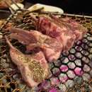 성심어린강릉점 | [강릉] 교동 숙성 양고기 양갈비 추천 '성심어린' (주차/내부/메뉴 후기)