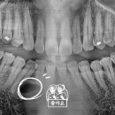 좋은날치과의원 이미지