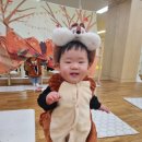 강정동-34 | 2025. 11. 15. 제주살이 34일차