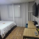 브라운도트 경주안강점 이미지