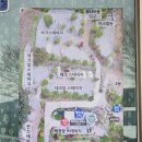 남양주 해자연캠핑장 파크스테이션 벚꽃캠핑 후기(명당추천)