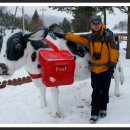 삼영목장 이미지