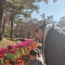 공립소중한어린이집 이미지