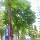 [부린이탈출 챌린지] &#39;24.6.29. | 광진구 임장 | 구의동 현대프라임 아파트 임장 솔직후기