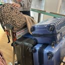 오성프라자 앞 | 대가족 대만여행