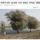 베플