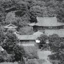 청룡사