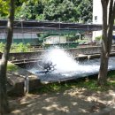 신기송어장횟집 이미지