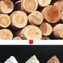 ㈜지바이오텍 이미지