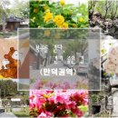 병풍사입구 | 「북구를 걷다」 만덕권역 편 - 블로그 기자의 "부산 북구 걷기 좋은 길"④