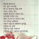 노래교실(월) Daum카페