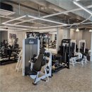 매드볼릭 이미지