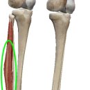 행복휘트니스 네이버블로그