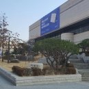 파라삐리포 이미지