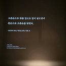 송하쌈밥 | 국중박 특별 전시 우리들의 밥상 귀여운 굿즈 추천:쌈 싸 먹는 법