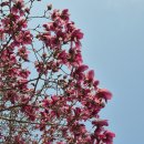 녹차밭약수터 이미지