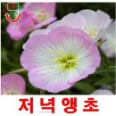 씨앗 이미지