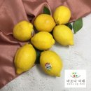 레몬 쇼핑하우