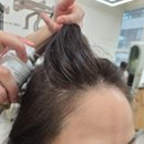 정화미용실 | 시흥 장곡동 미용실 26도헤어 뿌염&amp;커트 후기
