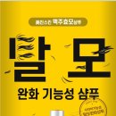 미친스킨 이미지