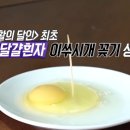 연천농장식품 이미지