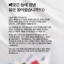 ＜빵지순례 성심당＞ 광복절 기자회견과 판넬 / 사회민주당, 진보당, 조국혁신당의 마지막 콜라보 연대시위와 판넬전(8월 15일) 이미지