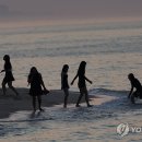 부산진구-25 이미지