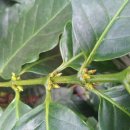 희정농장 이미지