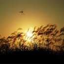 희미한옛사랑의 그림자 이미지