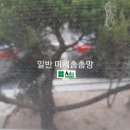 RR-97[번영로]-하-75 | 울산방충망-북구 대안동 울산 태연학교 방충망 전체 교체하고 왔습니다