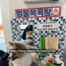 멍뭉다방