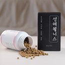 웰니스 지 | 다이어트 정체기 추천템, 성혜웰니스 바이만 한약 보조제