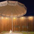 감귤박물관 야외화장실 이미지