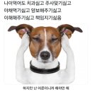 샌디치 이미지
