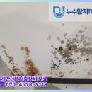 목상동 화장실 이미지
