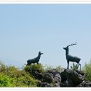 제주조각공원 이미지