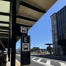 New zealand (1) - 뉴질랜드 북섬, 오클랜드 공항에서 시내 가는 버스, 스카이시티 호텔, Wynyard Quarter