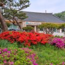 소천제3농로 | 예천 용문면 형제봉, 살개봉