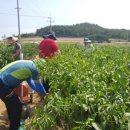 김태순농장 이미지