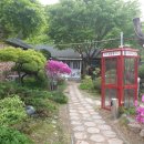 양수리 오리학교 이미지