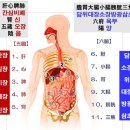 오장육부 이미지