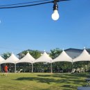 몽드드뚜뚜 | 2022.06.01 애견카페 몽드드뚜뚜 이용후기