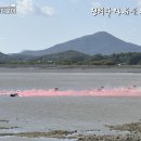 청룡명찰