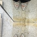 소호 숲 | 라포레소호 글램핑장, 경기도 광주 화담숲, 연희동 케뚜, 미묘 참외빙수, 을밀대, 우래옥 평양냉면 후기