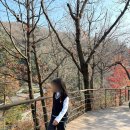 번지없는주막 | 곤지암리조트(노블B 미취사형)/화담숲/번지없는 주막 방문 후기