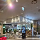 반성터미널 | NC수원터미널 경영진 듣고 있나? 1층 루시카토(Lucycato) 크로플 후기