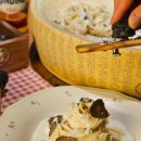 펫브런치 이미지