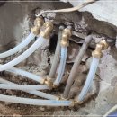 바로크설비 이미지