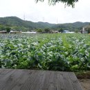 삼웅마을회관 이미지